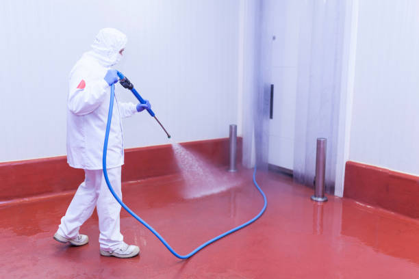 Best Boat and Dock Cleaning  in Shawsville, VA